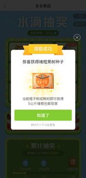 拼多多托管运营揭秘:如何让你的店铺脱颖而出? 拼多多托管运营揭秘:如何让你的店铺脱颖而出?