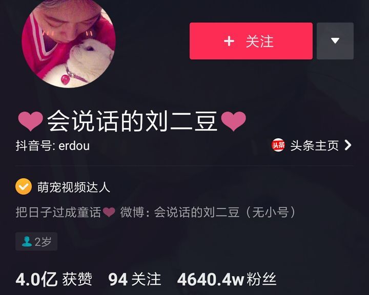 2020年抖音网红粉丝排行榜-最新榜！