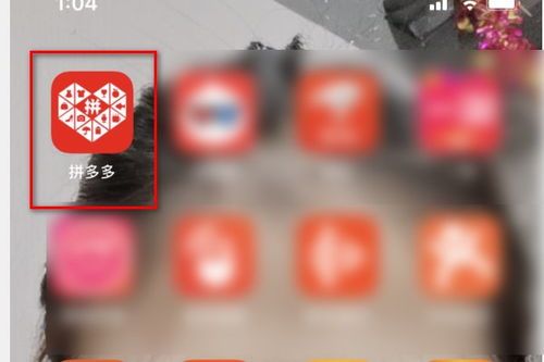 拼多多一个人拼单可以发货吗?揭秘拼多多拼单发货的真相 拼多多一个人拼单可以发货吗?揭秘拼多多拼单发货的真相