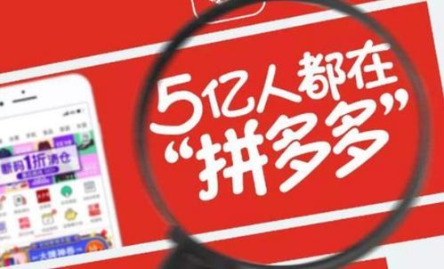 拼多多上的品牌店大盘点:给你带来不一样的购物体验 拼多多上的品牌店大盘点:给你带来不一样的购物体验