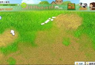 多多牧场怎么进不去了?别急,我来帮你解决! 多多牧场怎么进不去了?别急,我来帮你解决!