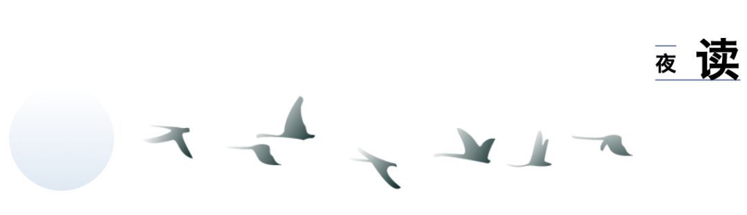 我的病连医生都害怕,却被我的精神病室友治好 我的病连医生都害怕,却被我的精神病室友治好