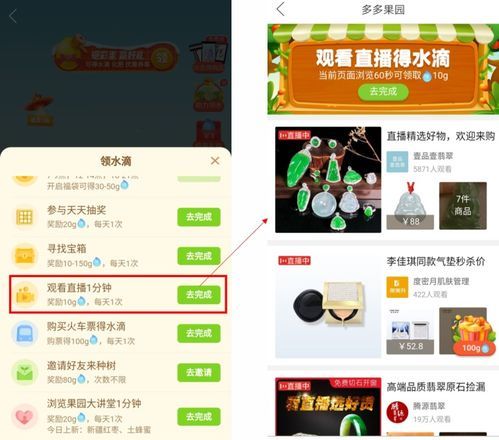 拼多多直播推广计划:打造爆款商品的新策略 拼多多直播推广计划:打造爆款商品的新策略