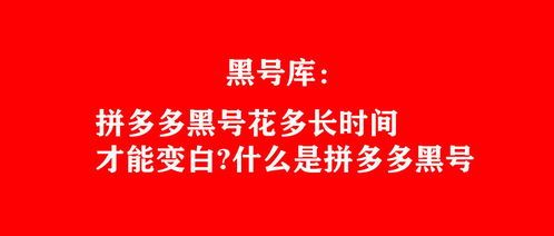 从哪看出拼多多是黑号?揭秘你不知道的拼多多黑号秘密 从哪看出拼多多是黑号?揭秘你不知道的拼多多黑号秘密
