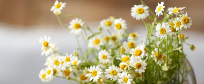 快手广告的展现形式有哪些?有哪些优点? 快手广告的展现形式有哪些?有哪些优点?