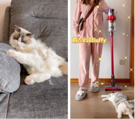 快手推广家电有哪些创意素材秘诀? 快手推广家电有哪些创意素材秘诀?