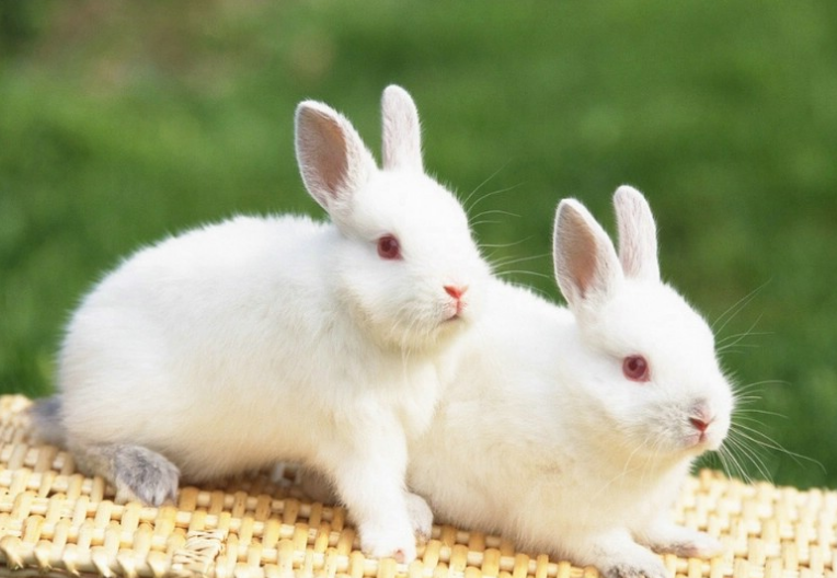 360现在跑游戏直播返点多少？360现在跑金融效果好吗?