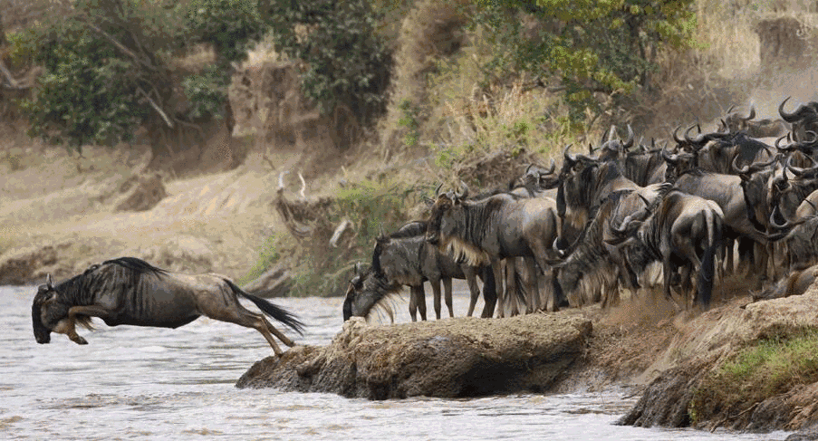 抖音网红“入侵”B站!10天涨粉超100w,史上最快 抖音网红“入侵”B站!10天涨粉超100w,史上最快