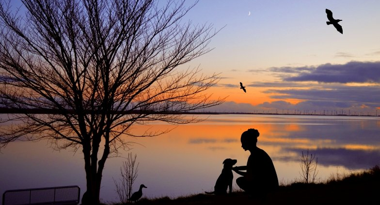 小红书代运营怎么收费,客服电话多少? 小红书代运营怎么收费,客服电话多少?