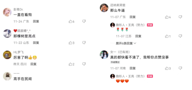 原来世界上真的有“隐身术”?!|快手短视频推广平台 原来世界上真的有“隐身术”?!|快手短视频推广平台