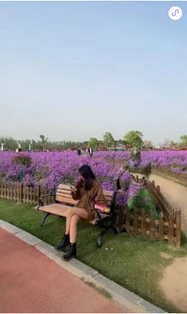 原来世界上真的有“隐身术”?!|快手短视频推广平台 原来世界上真的有“隐身术”?!|快手短视频推广平台