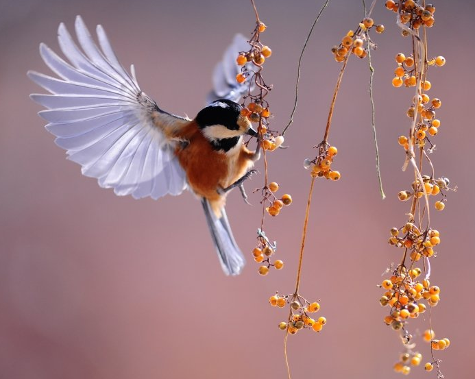 你知道百度信息流怎么投放吗?百度目前什么广告跑的效果比较好? 你知道百度信息流怎么投放吗?百度目前什么广告跑的效果比较好?