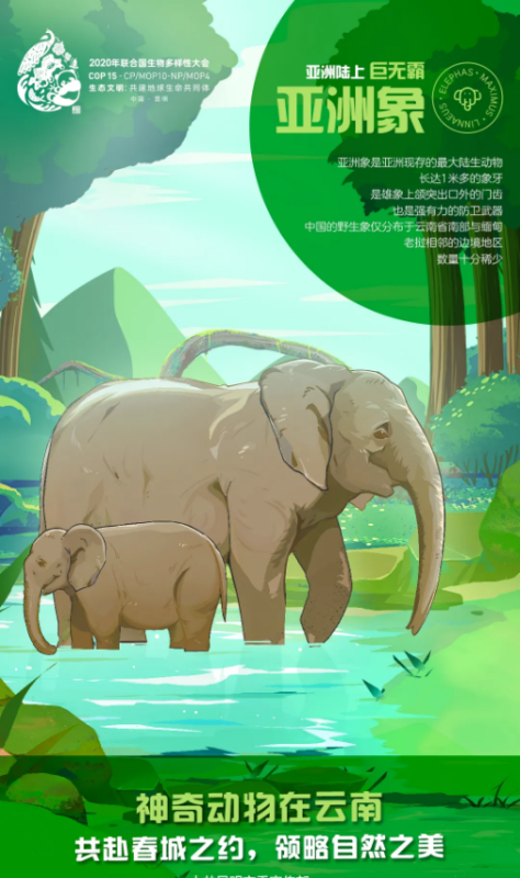 360广告推广:神奇动物在云南! 360广告推广:神奇动物在云南!