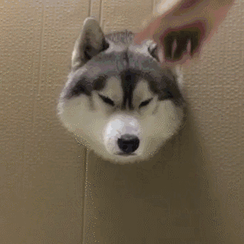 广告投放和SEM与SEO有什么区别? 广告投放和SEM与SEO有什么区别?