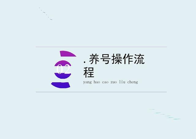 抖音运营方案完整版