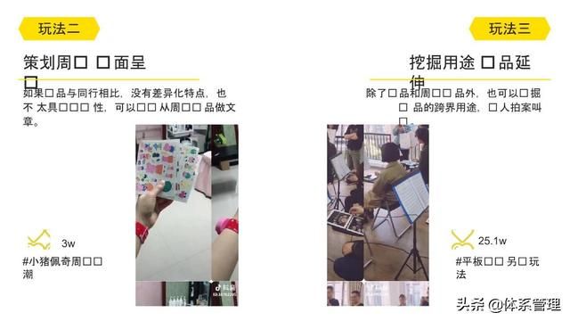 「体系管理」抖音运营方案PPT