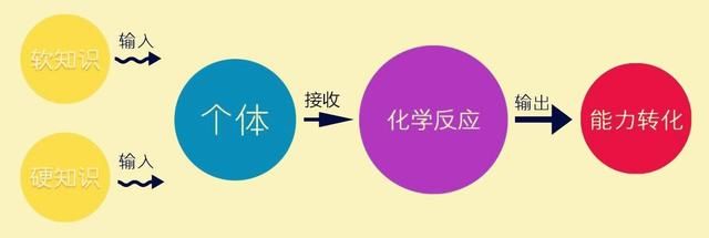 抖音运营从零起步,个人如何运营抖音账号? 抖音运营从零起步,个人如何运营抖音账号?