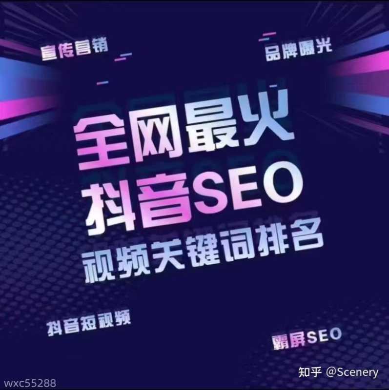 抖音SEO搜索关键词排名?真的可以排在首页吗? 抖音SEO搜索关键词排名?真的可以排在首页吗?