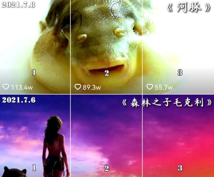 史上最全的抖音运营攻略 史上最全的抖音运营攻略