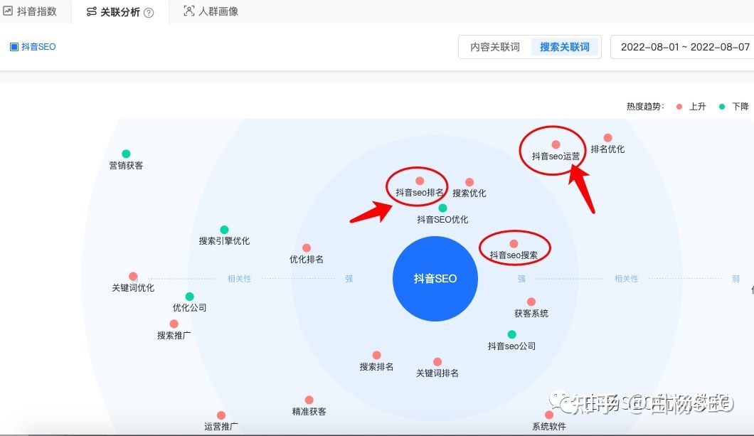 白杨SEO：巨量算数上的抖音指数与百度指数有什么区别？抖 ...