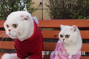 抖音短视频广告营销怎么玩?精准短视频营销快传播,全都是 ... 抖音短视频广告营销怎么玩?精准短视频营销快传播,全都是 ...