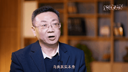 抖音上“四舍五入吃恐龙”是什么梗? 抖音上“四舍五入吃恐龙”是什么梗?