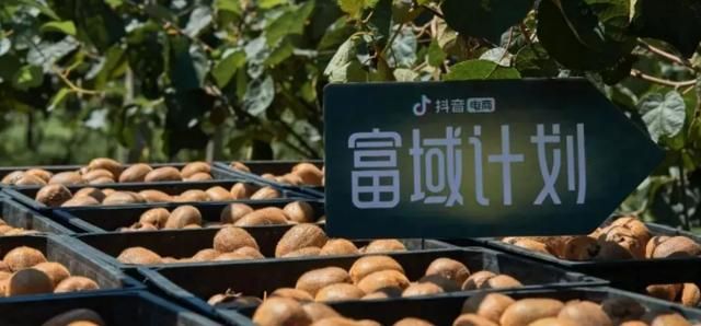 深度解读抖音的发展史,它是如何火爆全球的? 深度解读抖音的发展史,它是如何火爆全球的?