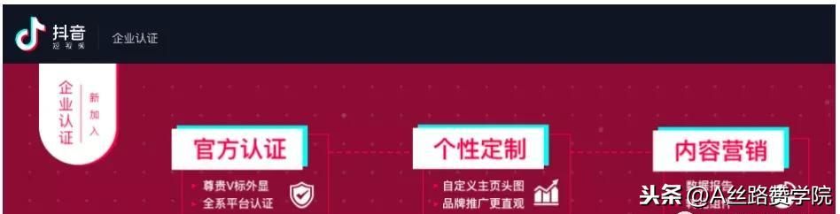 抖音账号运营(流量变现) 抖音账号运营(流量变现)