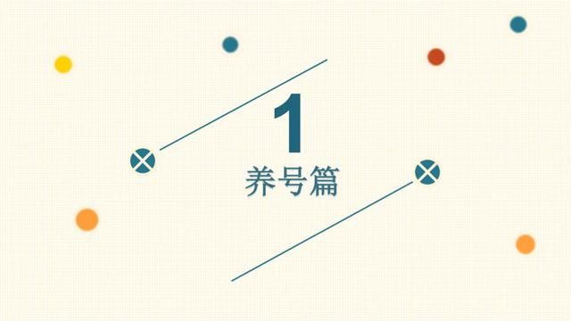 抖音运营全攻略：从账号注册到Ip打造，整套方案