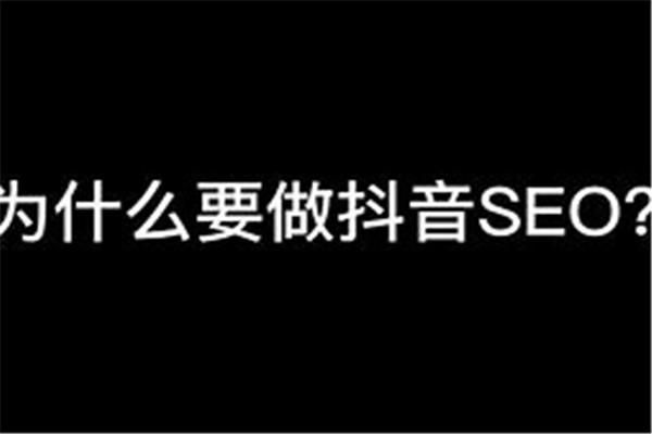 抖音seo推广是什么意思