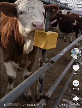 企业抖音营销三部曲 企业抖音营销三部曲