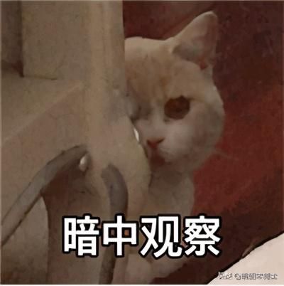 流量时期的抖音营销,其实你可以这样做 流量时期的抖音营销,其实你可以这样做