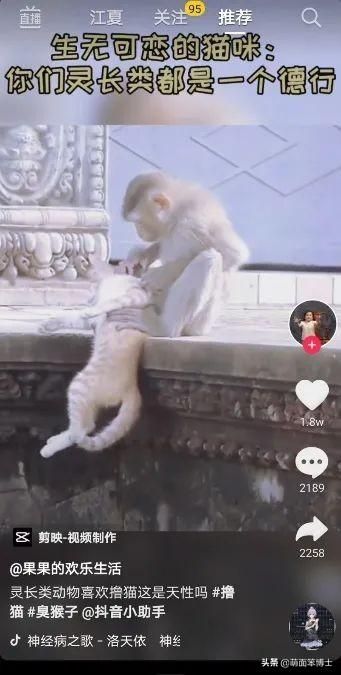 流量时期的抖音营销,其实你可以这样做 流量时期的抖音营销,其实你可以这样做