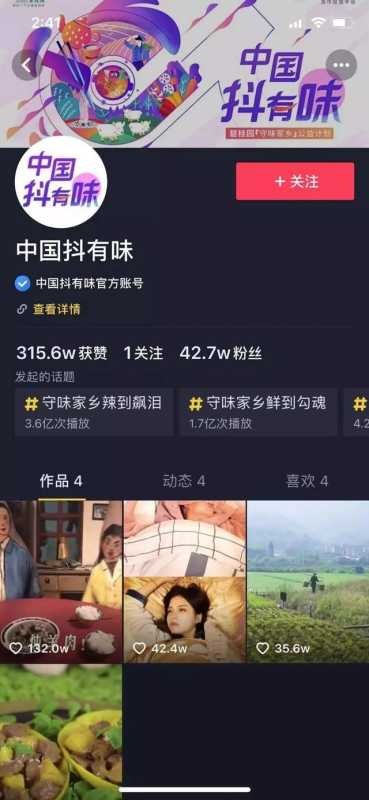 立标杆、做细分,2018抖音内容营销盘点! 立标杆、做细分,2018抖音内容营销盘点!