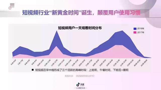 2019年抖音短视频营销报告（附全文下载）