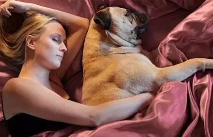 原来狗子喜欢睡觉的地方，跟主人的“亲密度”挂钩