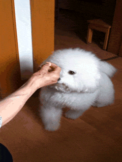 在天猫开网店多少钱(2020年开一个天猫店要花多少钱) 在天猫开网店多少钱(2020年开一个天猫店要花多少钱)