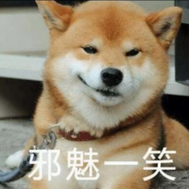 狗狗用前肢“扒拉”你，无非是有这些“小心思”