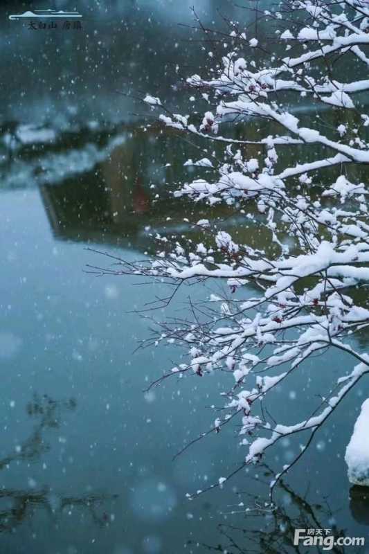 西安其他高分楼盘的最新现场美图,速来围观 西安其他高分楼盘的最新现场美图,速来围观