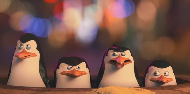 《马达加斯加企鹅》看客局中局,为什么我们的关注点会有偏差? 《马达加斯加企鹅》看客局中局,为什么我们的关注点会有偏差?