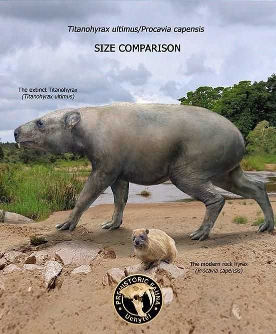 广告投放为什么要选择360信息流广告？