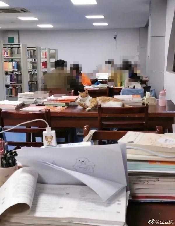 甜粽和咸肉粽要打起来了 | 冷段子1830