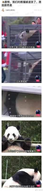 甜粽和咸肉粽要打起来了 | 冷段子1830