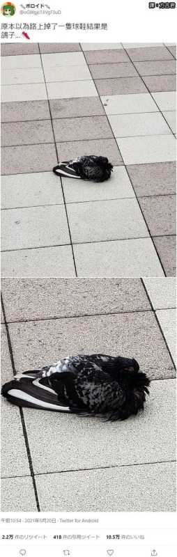 甜粽和咸肉粽要打起来了 | 冷段子1830