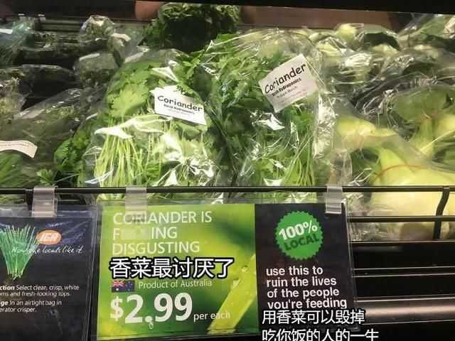 朋友,你喜欢吃香菜吗 朋友,你喜欢吃香菜吗