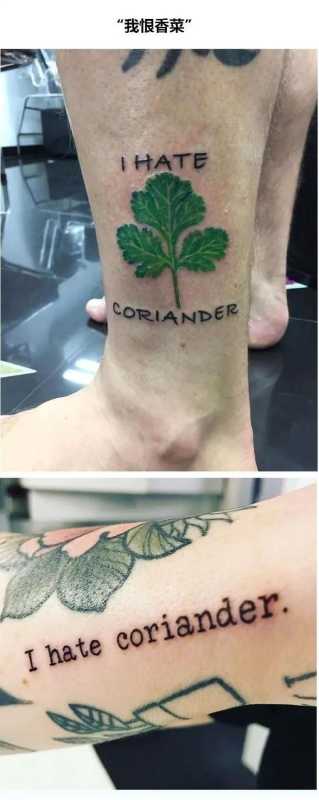 朋友,你喜欢吃香菜吗 朋友,你喜欢吃香菜吗
