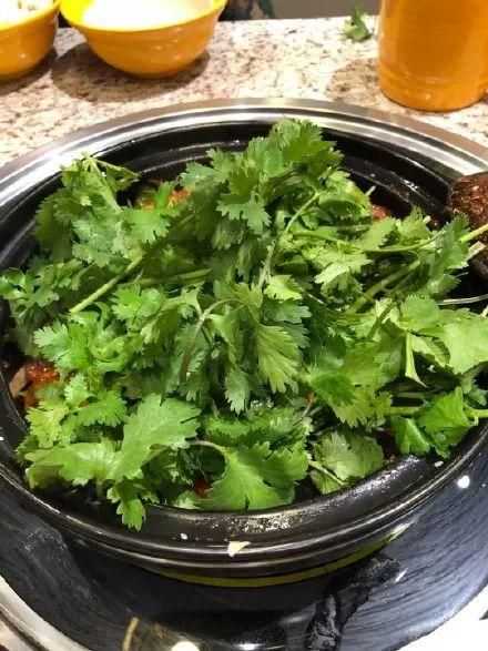 朋友,你喜欢吃香菜吗 朋友,你喜欢吃香菜吗