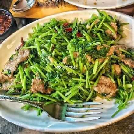 朋友,你喜欢吃香菜吗 朋友,你喜欢吃香菜吗