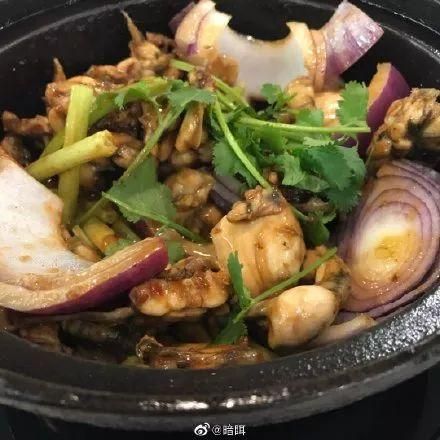 朋友,你喜欢吃香菜吗 朋友,你喜欢吃香菜吗