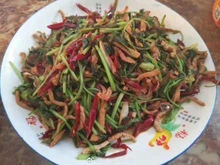 朋友,你喜欢吃香菜吗 朋友,你喜欢吃香菜吗